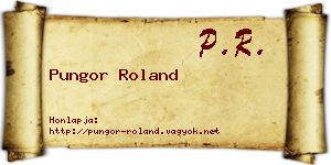 Pungor Roland névjegykártya